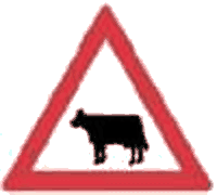Animale