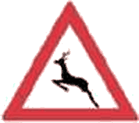 Animale